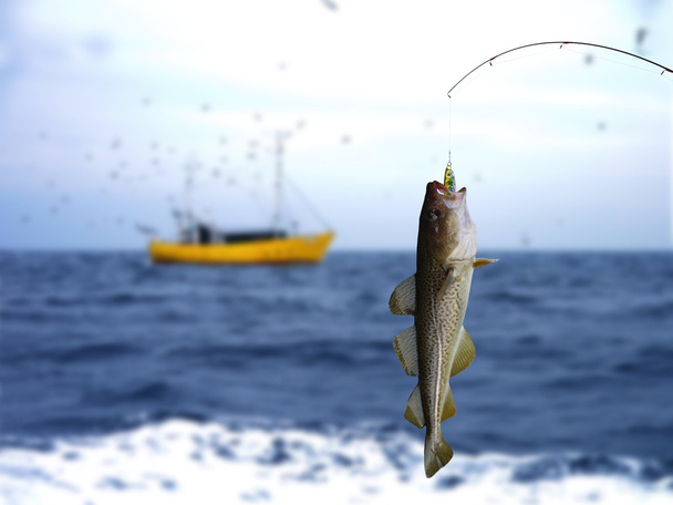 Codfish - Фото, изображение