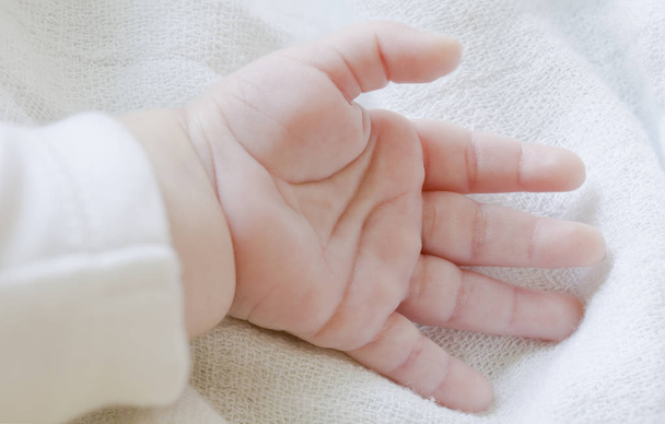Cute Baby Hand - Φωτογραφία, εικόνα