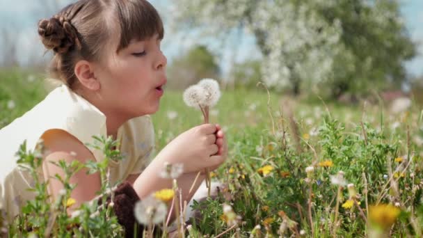 Girl Blowing On a Dandelion - Footage, Video