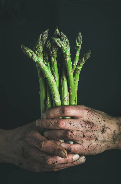 Bunch of fresh uncooked asparagus  - Фото, изображение