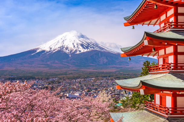 Pagoda y Fuji en primavera
 - Foto, imagen