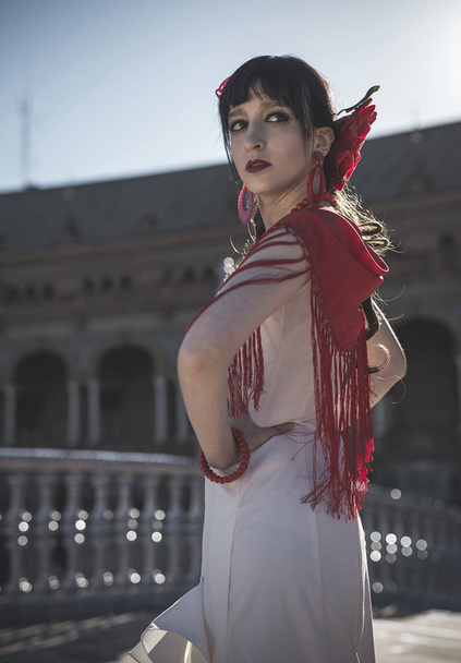 Genç zerafet flamenko dansçısı  - Fotoğraf, Görsel