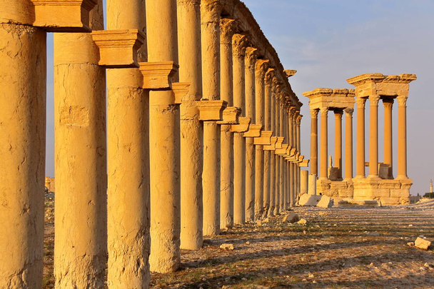 palmyra, syrien: die archäologische Stätte von palmyra dieses Bild wurde im April 2010 aufgenommen, weniger als ein Jahr vor Beginn der tragischen Ereignisse in syrien - Foto, Bild