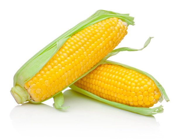 Dos mazorca de maíz aisladas sobre fondo blanco
 - Foto, imagen