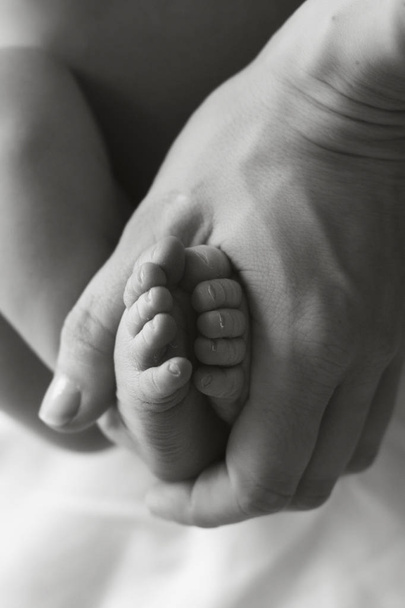 anyák kezében tartja a baba lábát - Fotó, kép
