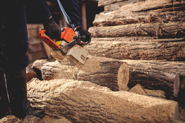 homme coupant le bois avec tronçonneuse - Photo, image