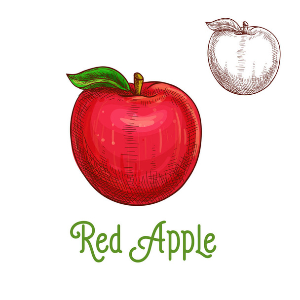 Apple vector boceto aislado icono de la fruta
 - Vector, imagen