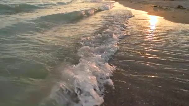 Waves on seashore, slow-mo. - Footage, Video