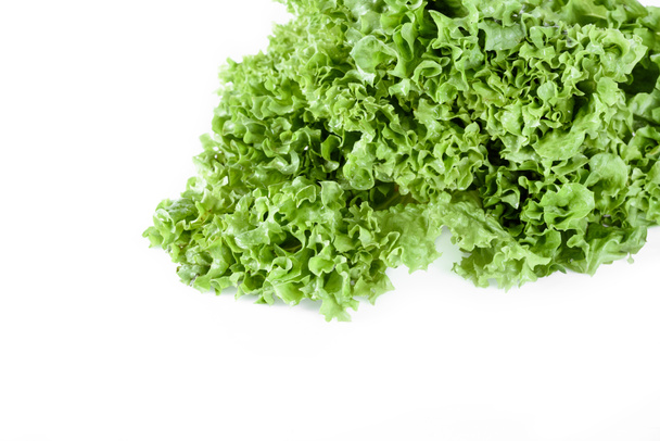 green lettuce salad leaves - Photo, Image