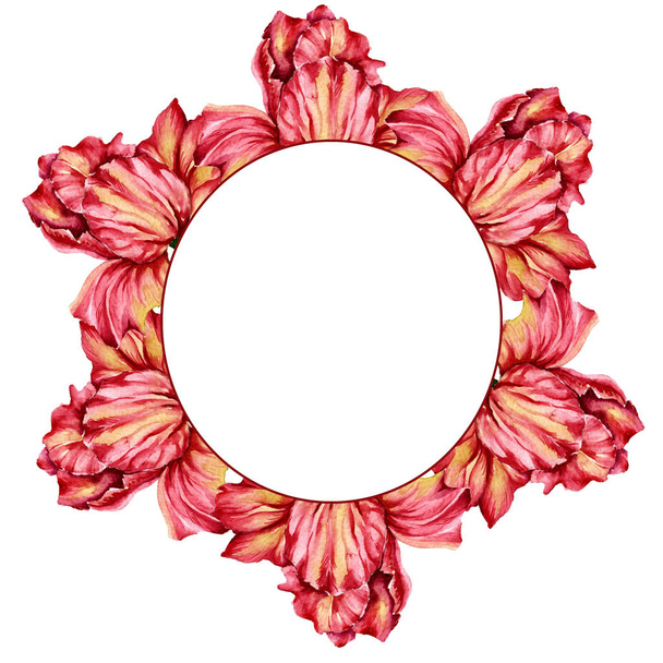 Rahmen aus getrockneten Tulpenblüten. isoliert auf weißem Hintergrund.  - Foto, Bild