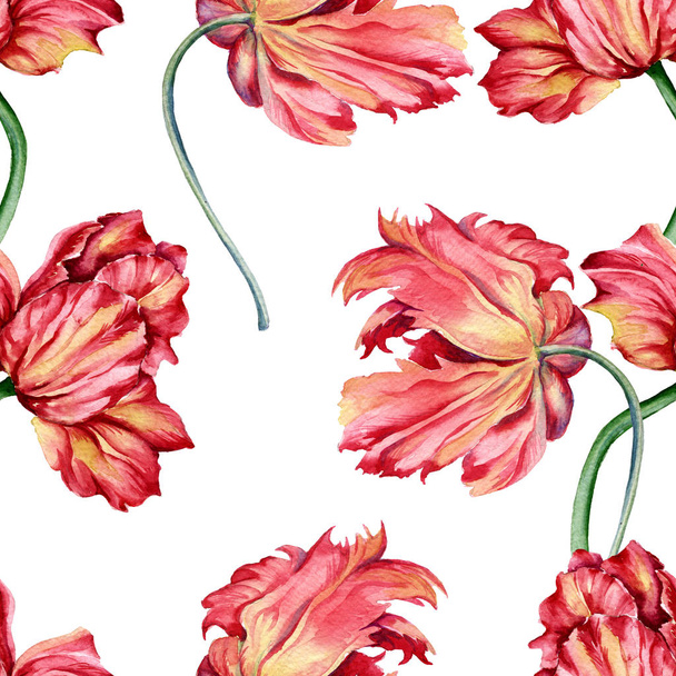 Background of a dried flower of a tulip. Seamless pattern.  - Foto, afbeelding