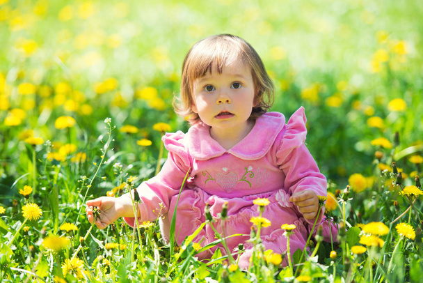 Girl in pink dress with dandelion on green grass. - Foto, immagini