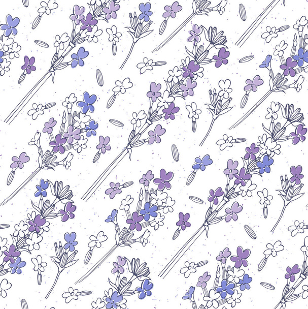 Seamless pattern with lavender flowers - Vecteur, image