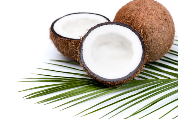 organic ripe coconuts  - Foto, Imagem