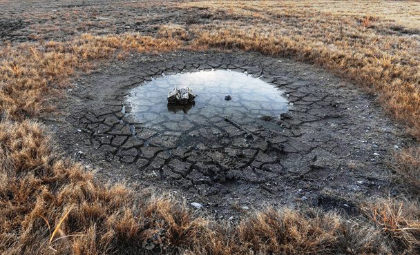 Prado árido grama seca campo morto grama seca falta de água morta
 - Foto, Imagem