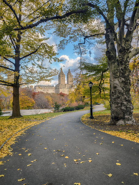 Central Park, New York City in late autumn - Photo, image