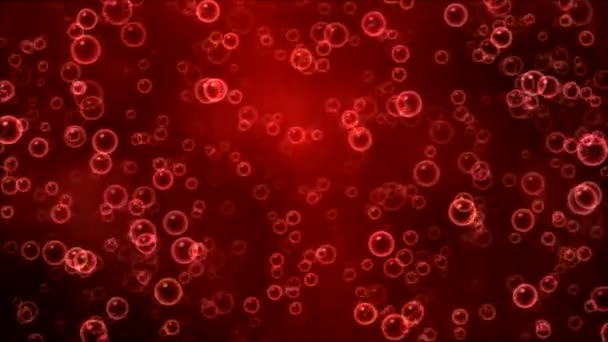 Színes buborékok animáció - hurok piros emelkedő - Felvétel, videó