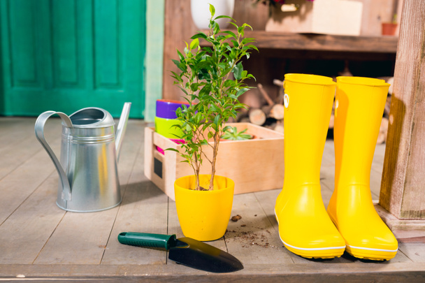 regadera, botas amarillas, planta y caja de madera en porche
 - Foto, Imagen