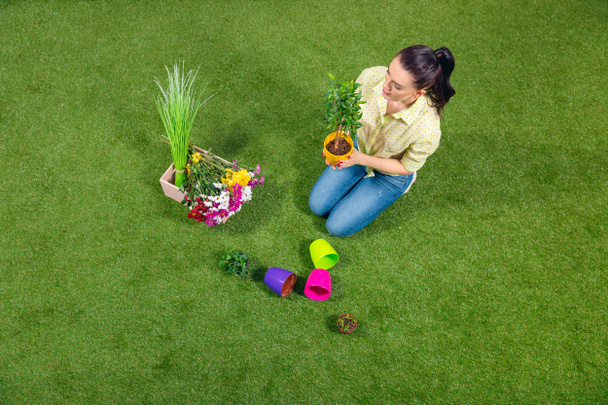 atractivo jardinero con plantas y macetas sentadas sobre hierba verde
 - Foto, Imagen