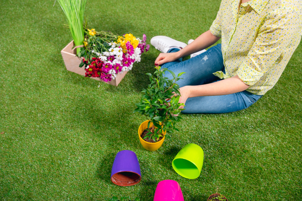 vista recortada del jardinero con plantas y macetas sentadas en la hierba
 - Foto, Imagen