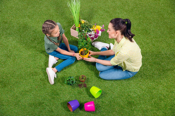 mother and daughter with plants and flowerpots sitting on green grass - Foto, Bild
