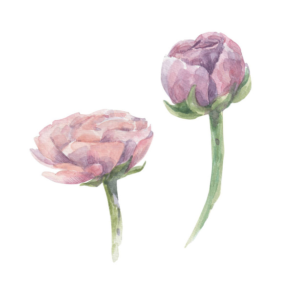Akvarell virágok és levelek-design  - Fotó, kép