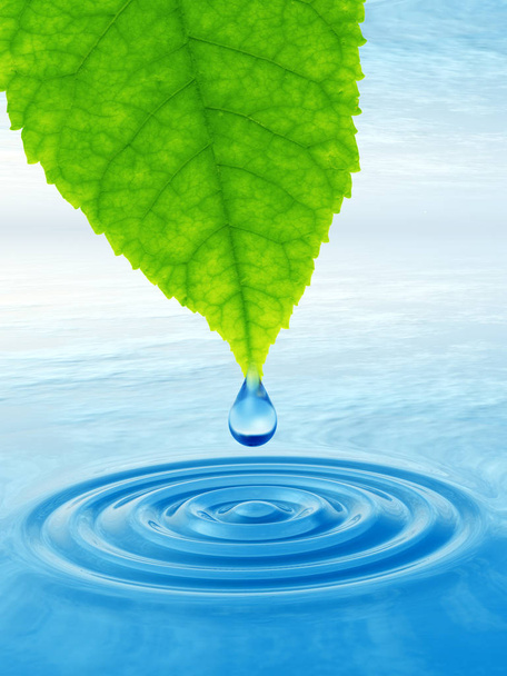 schone bronwater of dew drop  - Foto, afbeelding