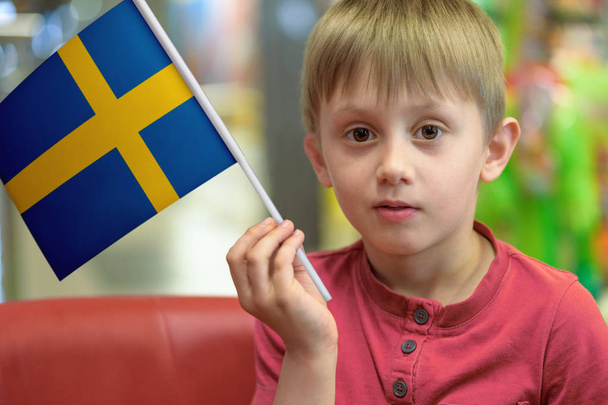 Boy with the flag of Sweden - Valokuva, kuva