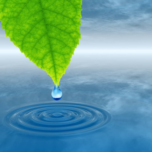 schone bronwater of dew drop  - Foto, afbeelding