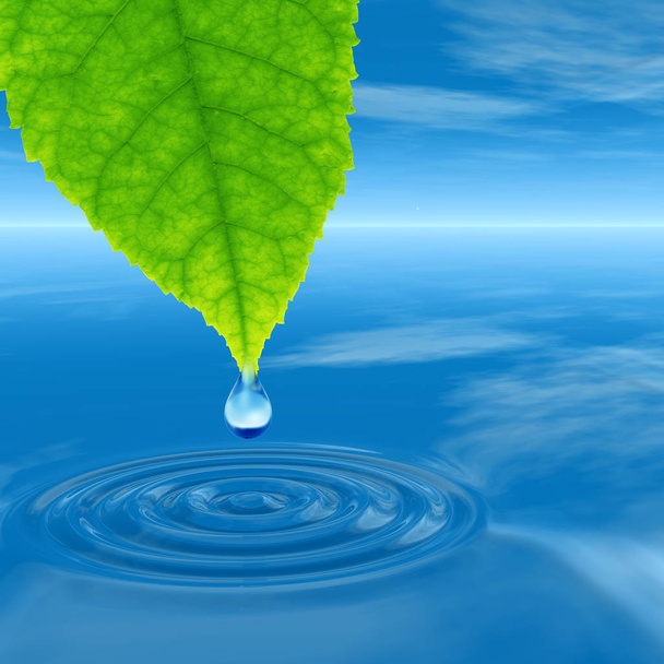clean spring water or dew drop  - Photo, Image