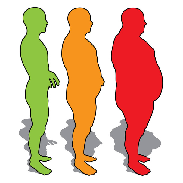 3D illustratie vet overgewicht vs slank - Foto, afbeelding