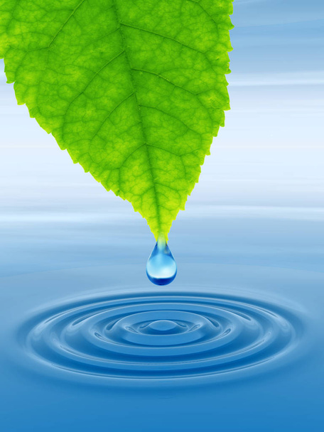 clean spring water or dew drop  - Photo, Image