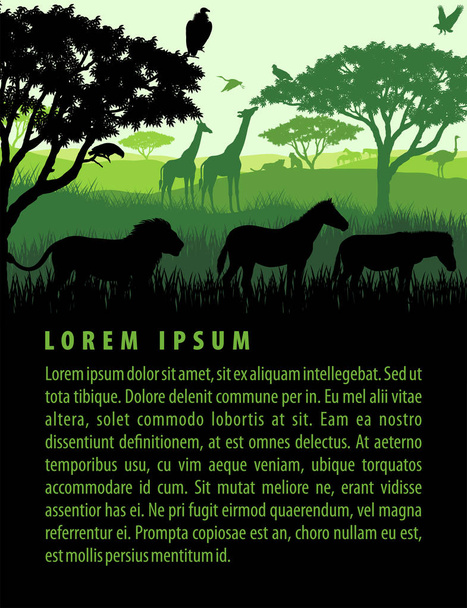 Ilustración vectorial del paisaje safari de sabana africana con siluetas de animales silvestres en la plantilla de diseño de puesta de sol
 - Vector, Imagen