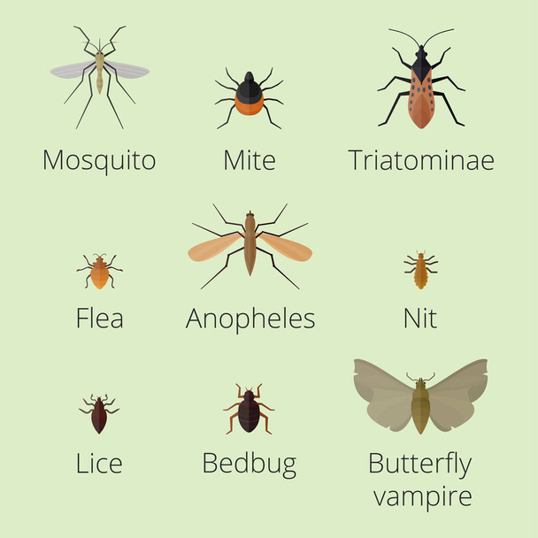 Iconos coloridos insectos aislados ala vida silvestre detalle gusano gusano de verano insectos oruga vector salvaje ilustración
. - Vector, imagen