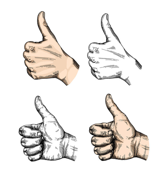 Bosquejo de gesto de mano
 - Vector, imagen
