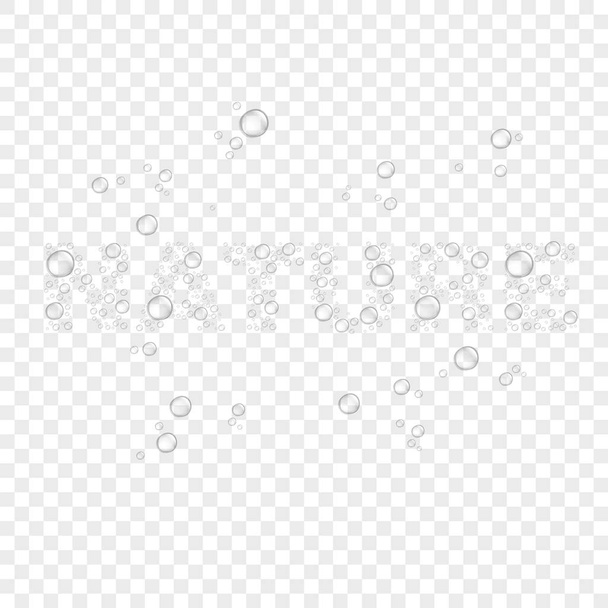 Abstract background with transparent water drops - Vector, Image
