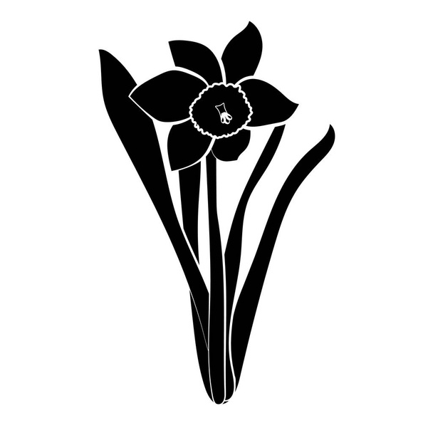 Flores narcisas dibujadas a mano. Elegante tarjeta vintage. Narciso negro con trazo blanco. Ilustración vectorial
. - Vector, imagen