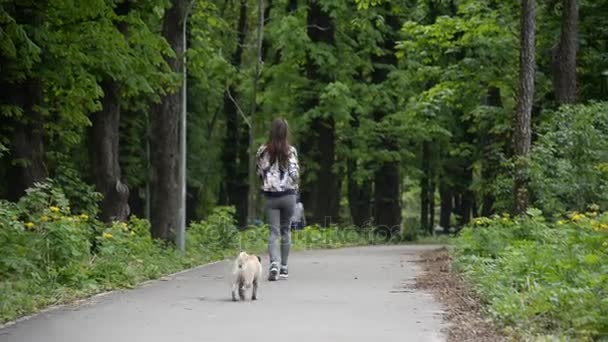 Perro de la raza Pug. Una chica está paseando a un perro en un césped verde
. - Imágenes, Vídeo