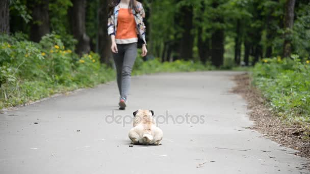 Perro de la raza Pug. Una chica está paseando a un perro en un césped verde
. - Metraje, vídeo