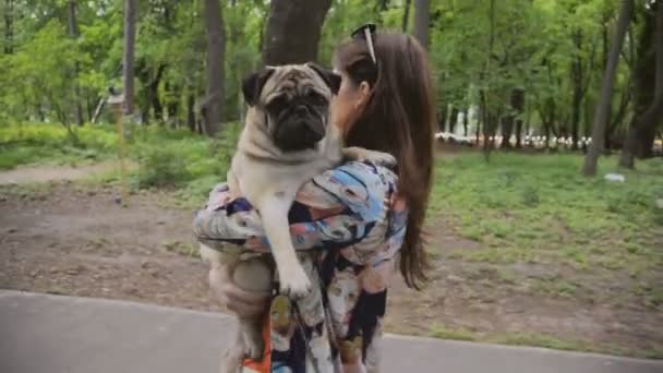 Hund der Rasse Mops. ein Mädchen geht mit einem Hund auf einem grünen Rasen spazieren. - Filmmaterial, Video