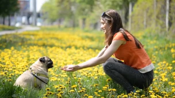 パグ犬種の犬。女の子は緑の芝生の上、犬を散歩します。. - 映像、動画