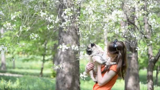 A mopszli tenyészt-ból kutya. Egy lány sétál egy kutya egy zöld pázsit. - Felvétel, videó