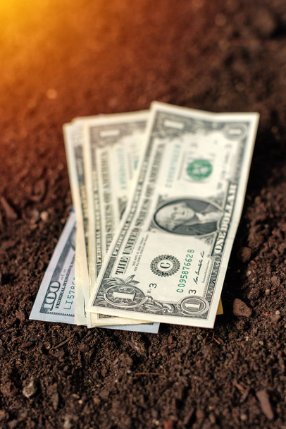 Dollar banknotes cash money in soil ground, income in agricultur - Фото, изображение