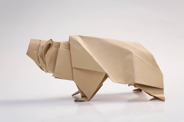 Grizzly bear origami - Foto, afbeelding
