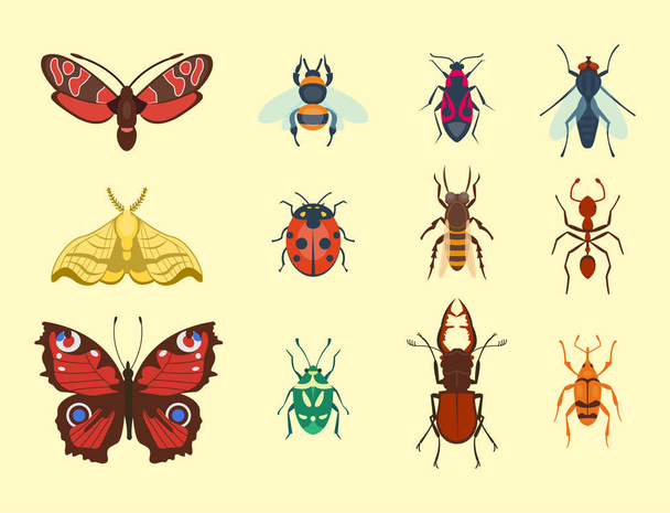 Colorful insects icons isolated wildlife wing detail summer bugs wild vector illustration - Vektori, kuva