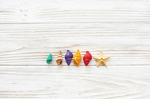 colorful shells and starfish - Fotografie, Obrázek