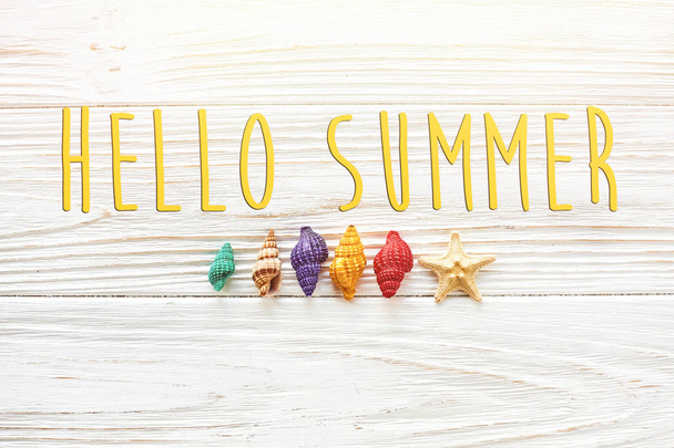 Hello nyári szöveg és a színes tengeri kagylókból - Fotó, kép