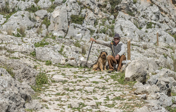 sheep shepherd with his dog  - Foto, immagini