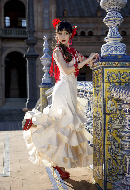 Young elegance flamenco dancer  - Foto, Imagen