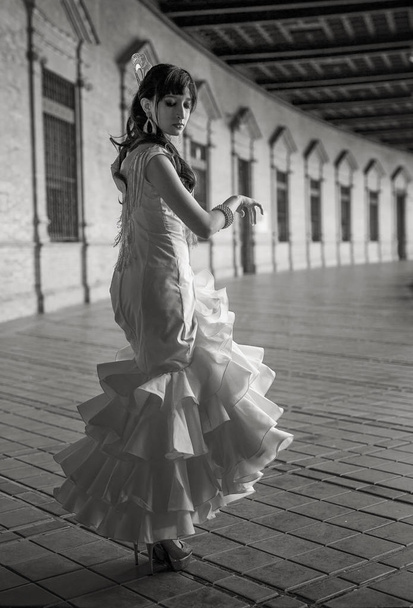 Young elegance flamenco dancer  - Zdjęcie, obraz
